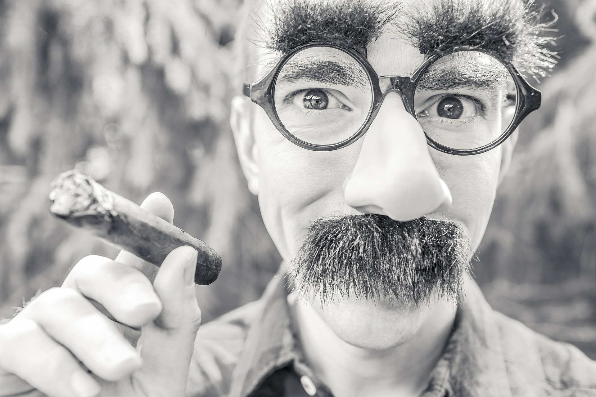 Man in fake moustache, eyebrows and glasses with cigar