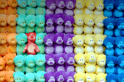 Stuffed teddy bear standing out among others